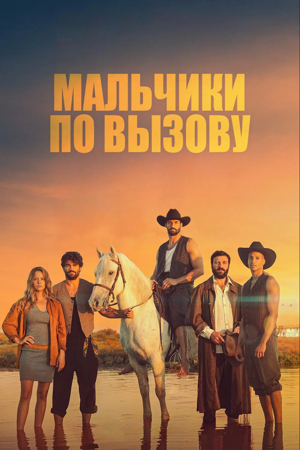Мальчики по вызову